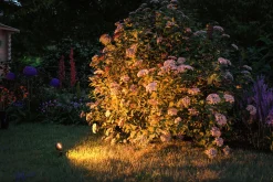 Plug & Shine LED Gartenstrahler - Sting Basisset