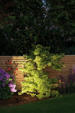 Plug & Shine LED Gartenstrahler - Sting Basisset