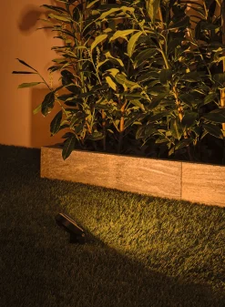 Plug & Shine LED Gartenstrahler - Sting Einzelspot insektenfreundlich