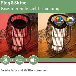 Plug & Shine LED Lichtobjekt Smart Home Zigbee 3.0 - Basket