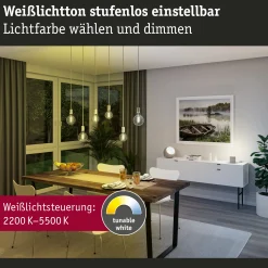 Preisattraktives Starterset Zigbee 3.0 - Smart Home smik Gateway + LED Birne Filament G95 Tunable White + Schalter