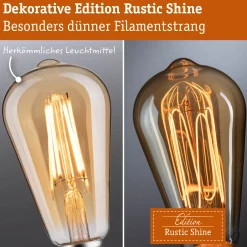 Rustic Shine Standard 230V - LED Kolben Filament in S-Form