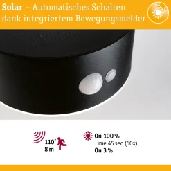 Solar LED Außenwandleuchte - Eileen