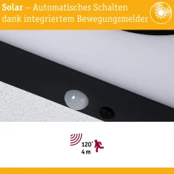 Solar LED Panel - Taija