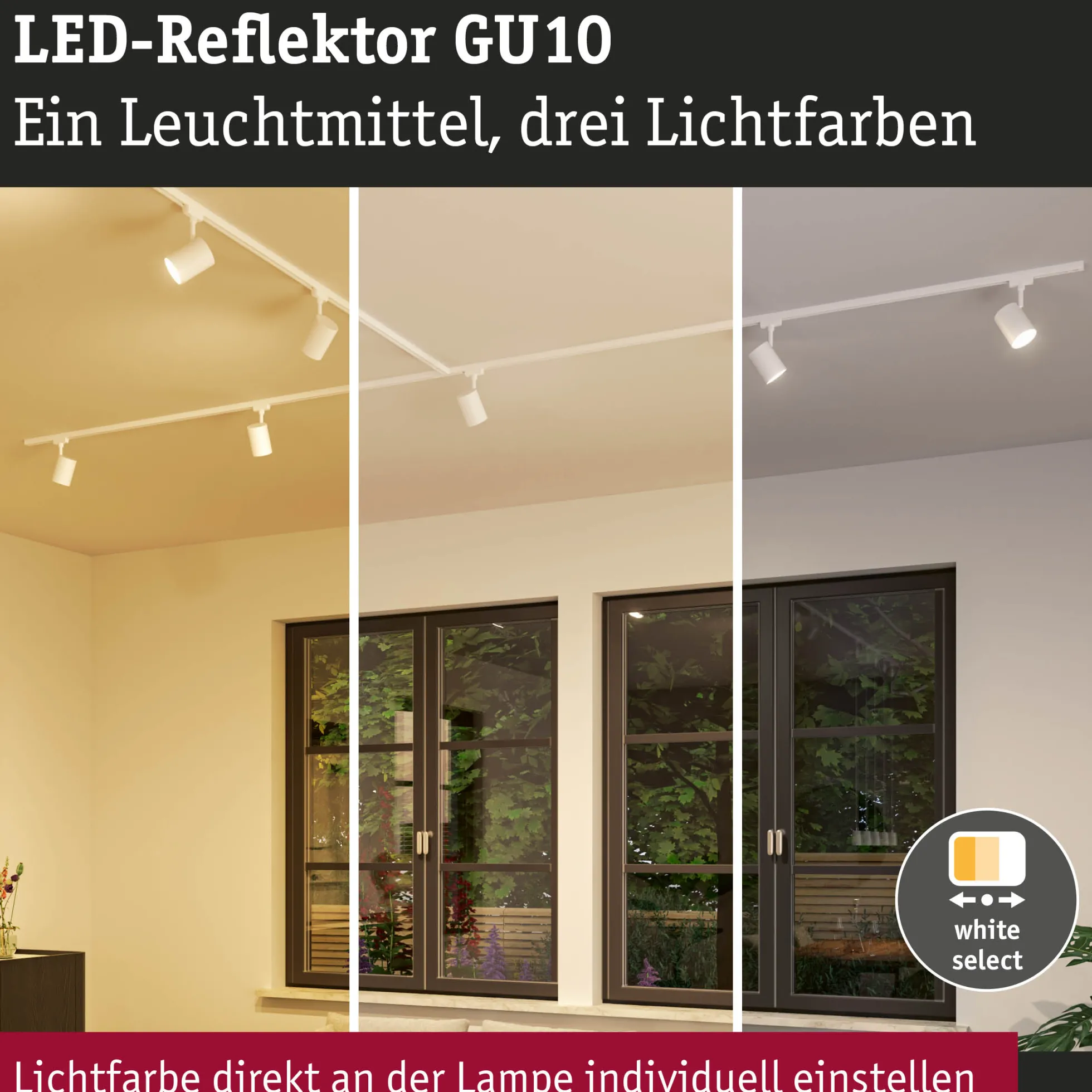 Standard 230V - LED Reflektor GU10 Dip Switch