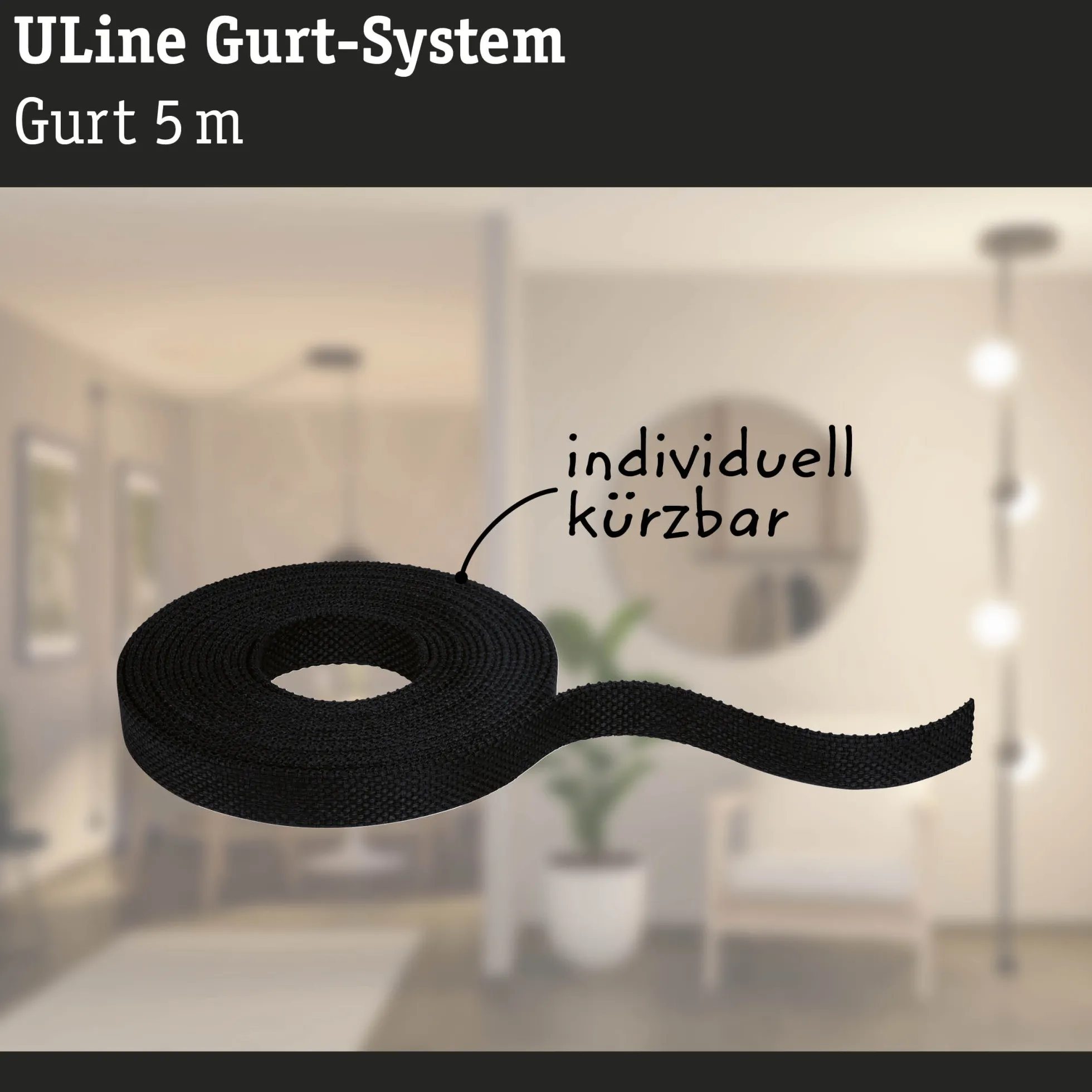 ULine Gurt - 5m