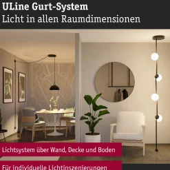 ULine Gurt - 10m
